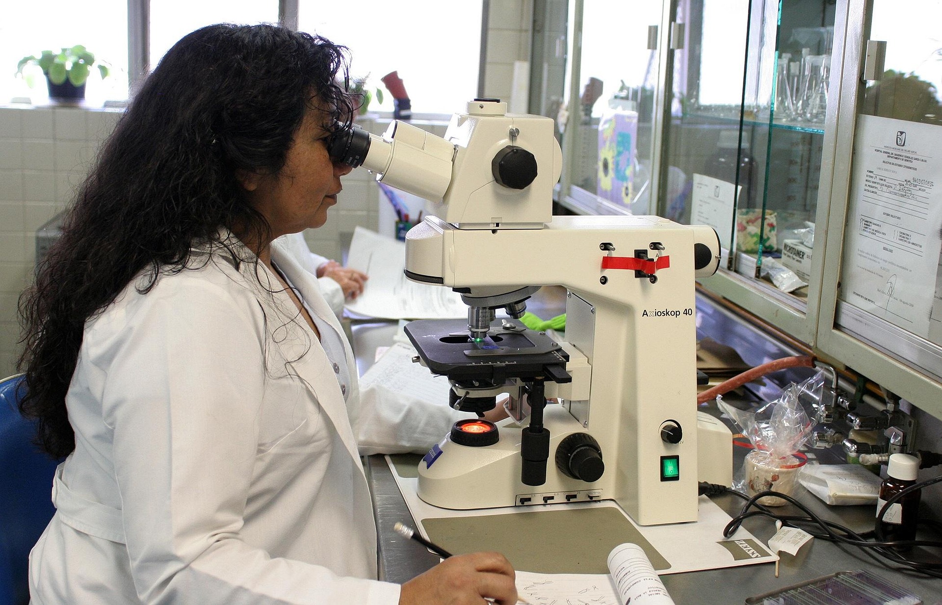 ernestoeslava laboratory 2821207 1920